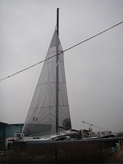 IMGP0704_2.jpg