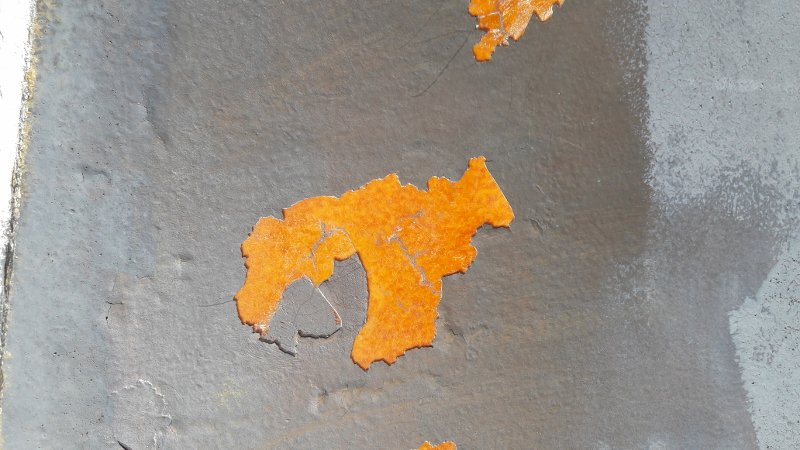 Hermelin bottenfärg (800x450).jpg